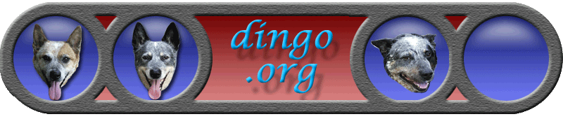 dingo.org